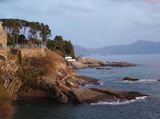 nervi nervi
