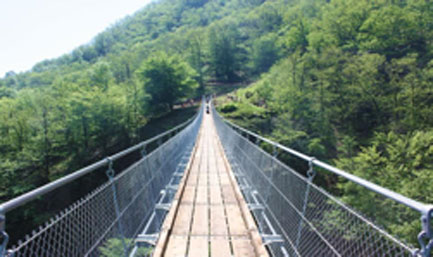 Ponte Tibetano Carasc (Svizzera) Ponte Tibetano Carasc (Svizzera)